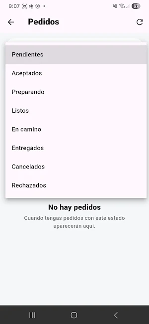 PIDE Negocios Screenshot 3