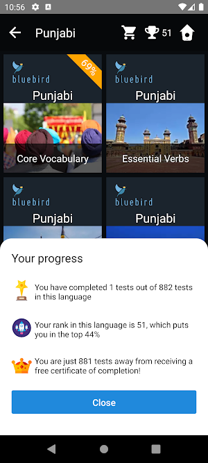 Punjabi Language Tests Screenshot 2