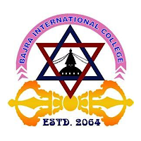 Bajra Intl College