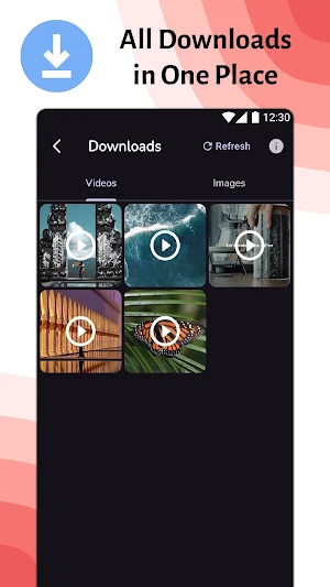 XXVI Video Downloader & Player Screenshot 1