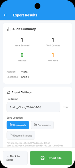 Singhal V Associates - Audit Screenshot 3