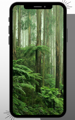 Jungle Wallpaper Screenshot 2