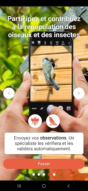 BetterflyBox Screenshot 3