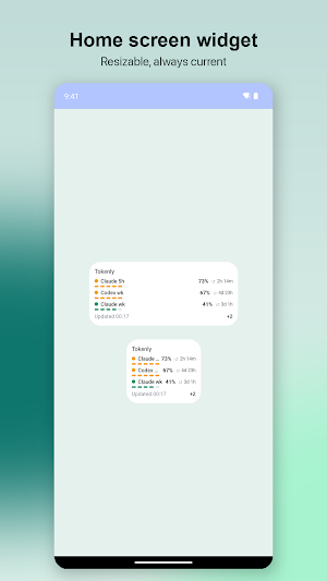 Tokenly: AI Usage Tracker Screenshot 2