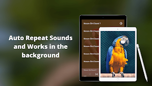 Macaw Bird Sounds Screenshot 3