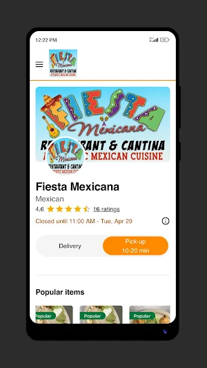 Fiesta Mexicana Food Screenshot 2
