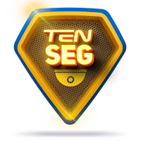 TEN SEG