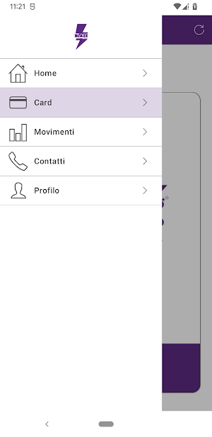 BLAZE SHOP Screenshot 3
