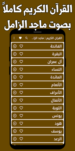 قران كريم ماجد الزامل بدون نت Screenshot 0