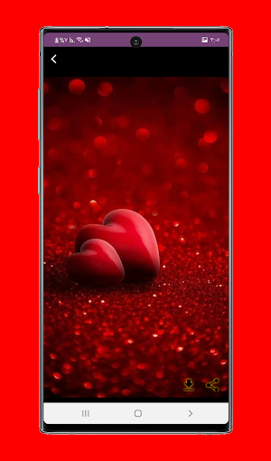 Rose Wallpapers HD Screenshot 3