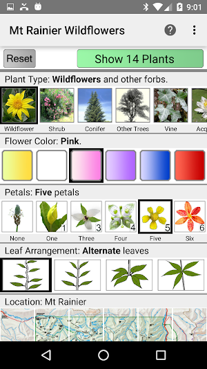 Mt Rainier Wildflowers Screenshot 0