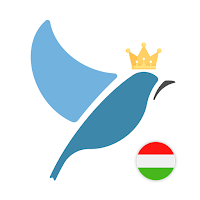 Hungarian Language Tests