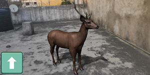 AR Real Animals - Augmented Reality Wildlife App Screenshot 0