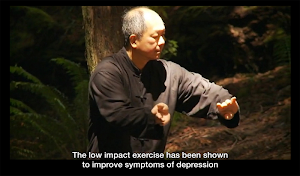 Yang Tai Chi for Beginners 1 by Dr. Yang Screenshot 1