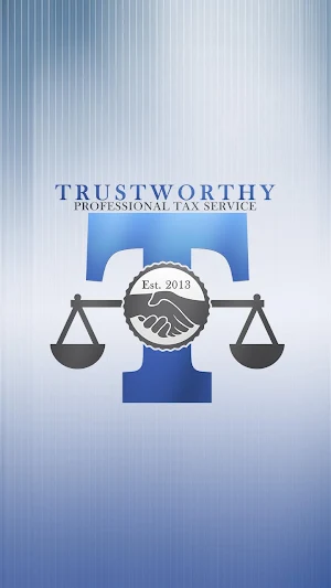 Trustworthy Professional Tax Screenshot 3