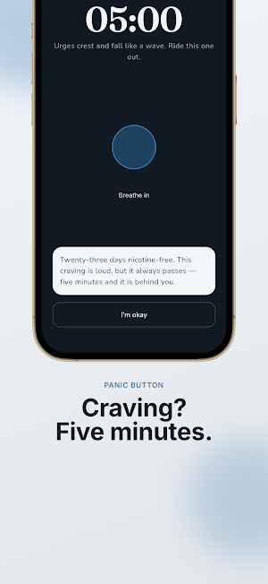 Quit Smoking: Vape & Pouch Screenshot 1