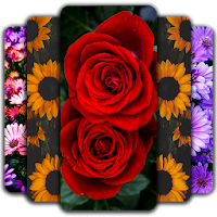 Flowers Wallpaper 🌷 💐 🌹