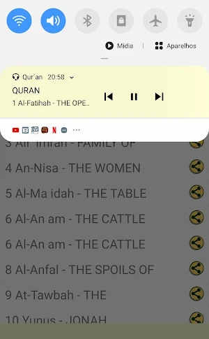 Hausa Quran Audio Screenshot 2