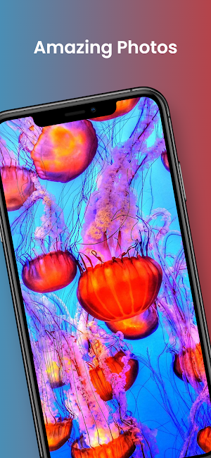 Cool Jellyfishes 3D Wallpapers Screenshot 1