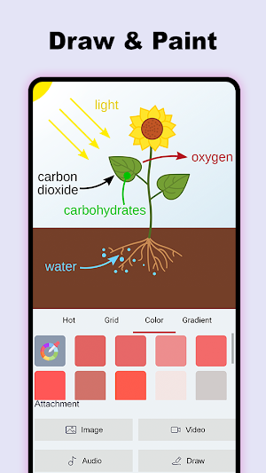 Notepad - Color Notes, Lists Screenshot 2