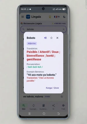 Lingala Guide IA Screenshot 1