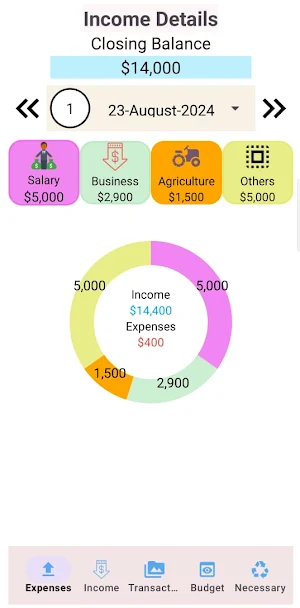 Budget Income Expense Tracker Screenshot 1