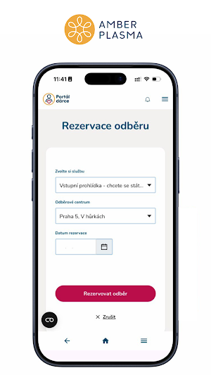 Amber Plasma Screenshot 2