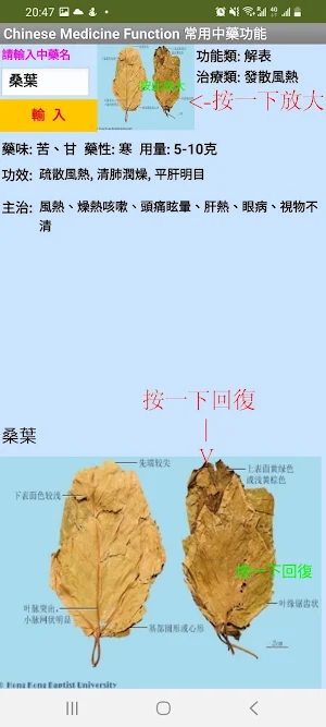 常用中藥查詢Chinese Medicine Inquiry Screenshot 2