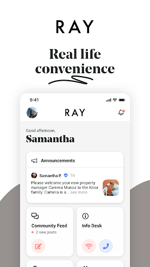 RAY Resident Screenshot 0