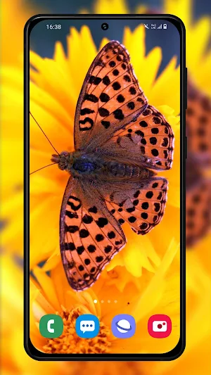 Butterfly wallpaper background Screenshot 2