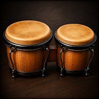 Bongos Instrument