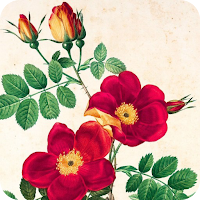 Art Images Download