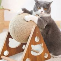 Games for Cats - Cat Toy