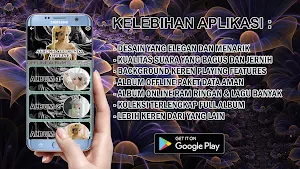 Full Album Lagu Sunda Offline Screenshot 0