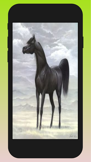 running horse wallpaper hd Screenshot 1