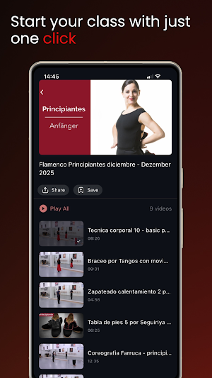 Hermanos Lopez Flamenco Screenshot 2