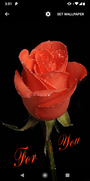 Rose GIF Live Wallpaper Screenshot 1