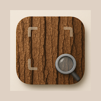 Wood identifier: Wood ID