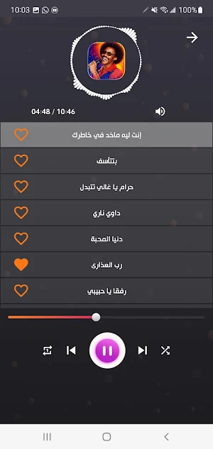 جميع اغاني زيدان ابراهيم دون ن Screenshot 3
