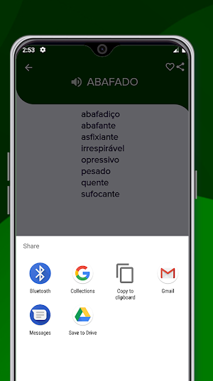 Dicionário Português Sinonimos Screenshot 2