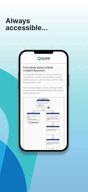 Quris Screenshot 2