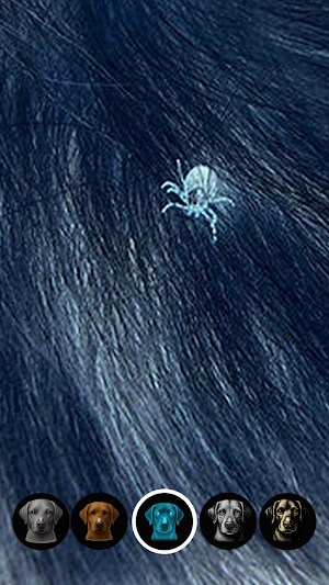 Tick Detector: Pet Tick Scan Screenshot 3