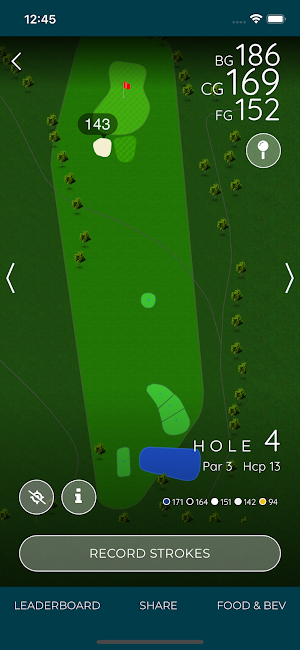 Forest Hills Golf Club Screenshot 3