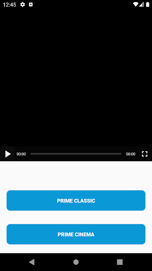 Prime Vizag Screenshot 0