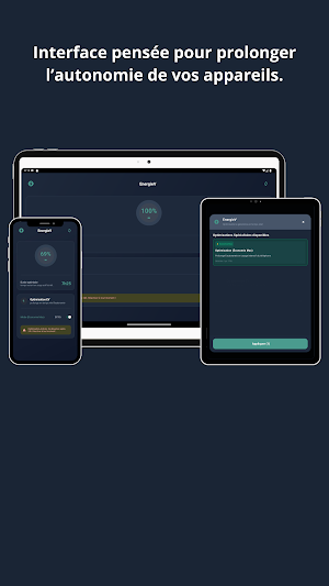 EnergieV Screenshot 3
