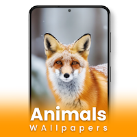 Animal Wallpaper 4K HD