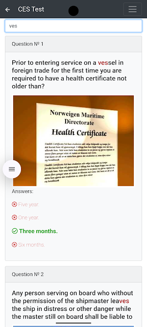 Flag. Norway Detailed. CES Screenshot 2
