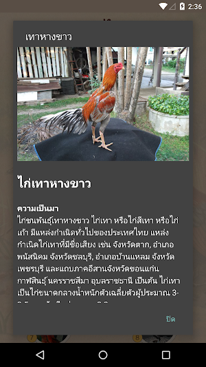 คู่มือไก่ชน Screenshot 2