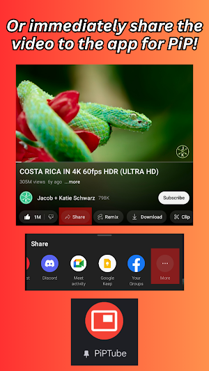 PiPTube Screenshot 2