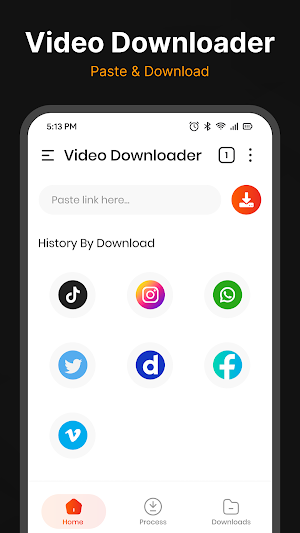 Video Downloader Screenshot 0